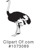 Ostrich Clipart #1073089 by dero