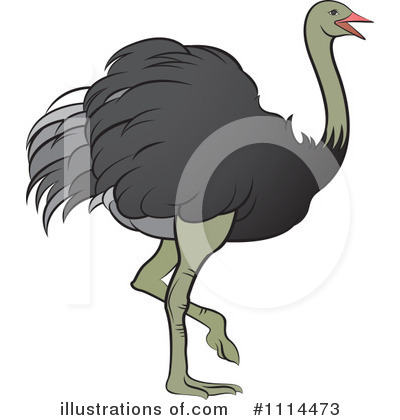 Ostrich Clipart #1114473 by Lal Perera