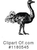 Ostrich Clipart #1180545 by Prawny Vintage