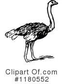 Ostrich Clipart #1180552 by Prawny Vintage