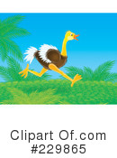 Ostrich Clipart #229865 by Alex Bannykh