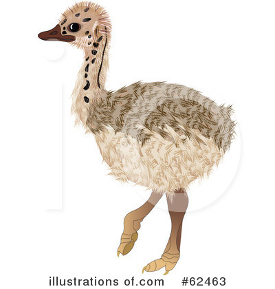 Royalty-Free (RF) Ostrich Clipart Illustration by Pams Clipart - Stock Sample #62463