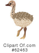 Ostrich Clipart #62463 by Pams Clipart