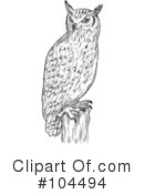 Owl Clipart #104494 by patrimonio