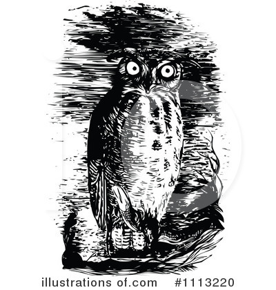 Royalty-Free (RF) Owl Clipart Illustration by Prawny Vintage - Stock Sample #1113220