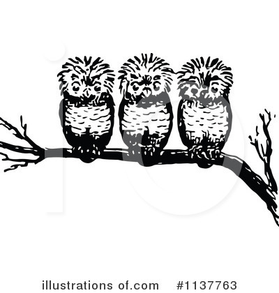 Owls Clipart #1137763 by Prawny Vintage