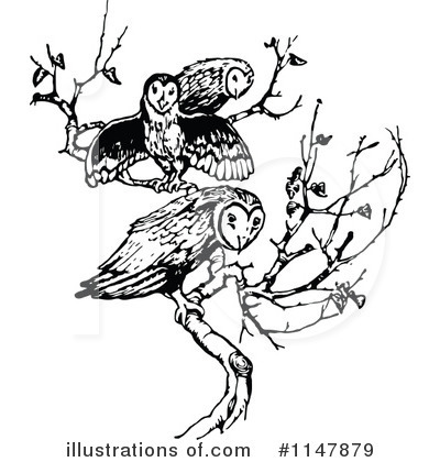 Royalty-Free (RF) Owl Clipart Illustration by Prawny Vintage - Stock Sample #1147879