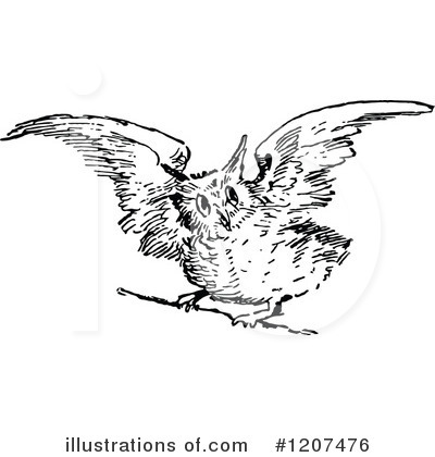 Royalty-Free (RF) Owl Clipart Illustration by Prawny Vintage - Stock Sample #1207476