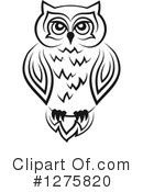 Owl Clipart #1275820 by Vector Tradition SM