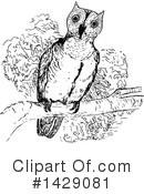 Owl Clipart #1429081 by Prawny Vintage