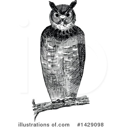 Royalty-Free (RF) Owl Clipart Illustration by Prawny Vintage - Stock Sample #1429098