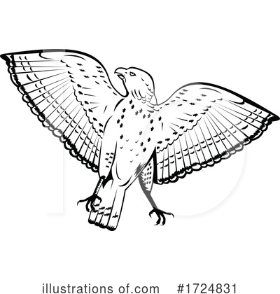 Hawk Clipart #1724831 by patrimonio