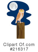 Owl Clipart #216317 by patrimonio
