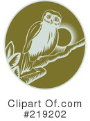 Owl Clipart #219202 by patrimonio