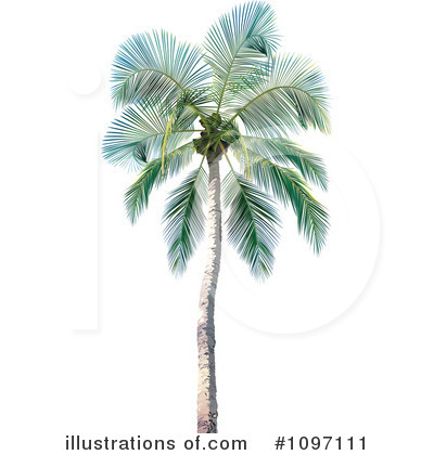 Palms Clipart #1097111 by dero
