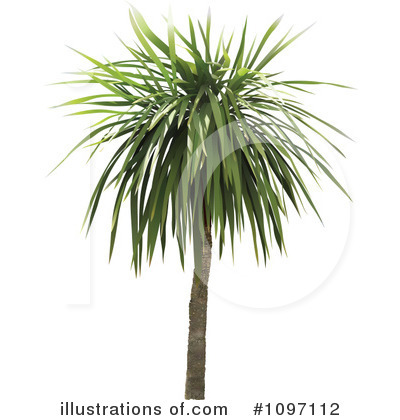 Palm Tree Clipart #1097112 by dero