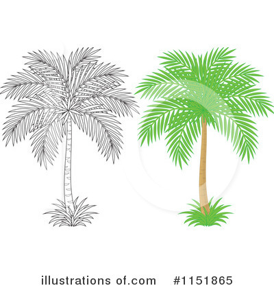 Palm Trees Clipart #1151865 by Alex Bannykh