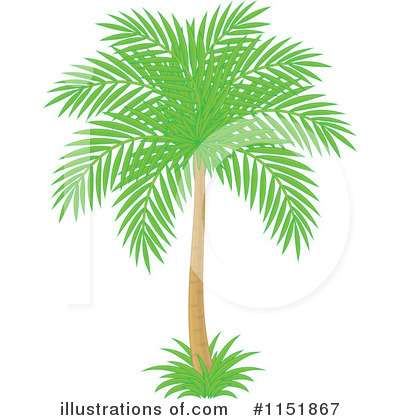 Palm Trees Clipart #1151867 by Alex Bannykh