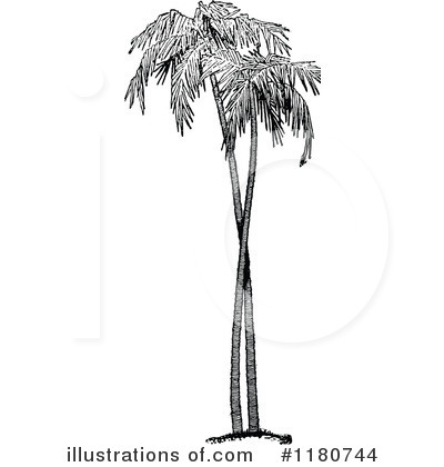 Royalty-Free (RF) Palm Tree Clipart Illustration by Prawny Vintage - Stock Sample #1180744