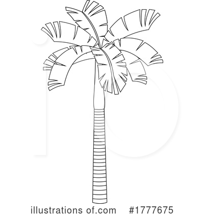 Royalty-Free (RF) Palm Tree Clipart Illustration by Hit Toon - Stock Sample #1777675