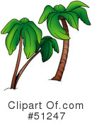 Palm Tree Clipart #51247 by dero