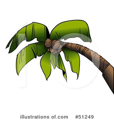 Palm Trees Clipart #51249 by dero