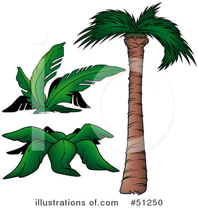 Royalty-Free (RF) Palm Tree Clipart Illustration by dero - Stock Sample #51250