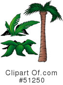 Palm Tree Clipart #51250 by dero