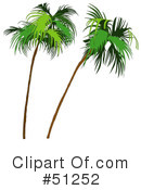 Palm Tree Clipart #51252 by dero