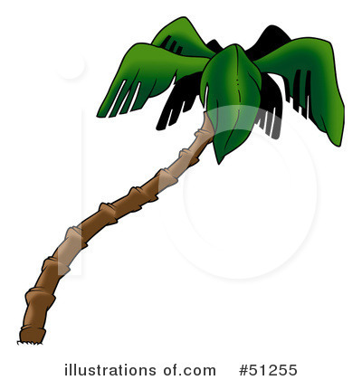 Royalty-Free (RF) Palm Tree Clipart Illustration by dero - Stock Sample #51255