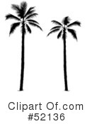 Palm Tree Clipart #52136 by dero