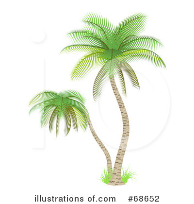 Palm Tree Clipart #68652 by Oligo