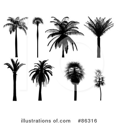 Royalty-Free (RF) Palm Tree Clipart Illustration by Mopic - Stock Sample #86316