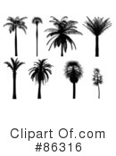Palm Tree Clipart #86316 by Mopic