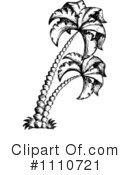 Palm Trees Clipart #1110721 by visekart