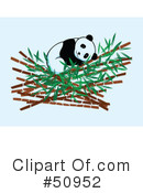 Panda Clipart #50952 by Cherie Reve