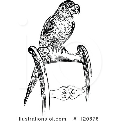 Royalty-Free (RF) Parrot Clipart Illustration by Prawny Vintage - Stock Sample #1120876