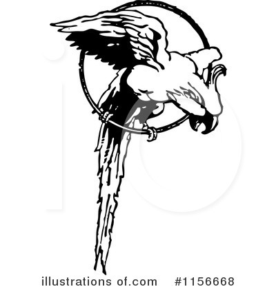 Parrot Clipart #1156668 by BestVector