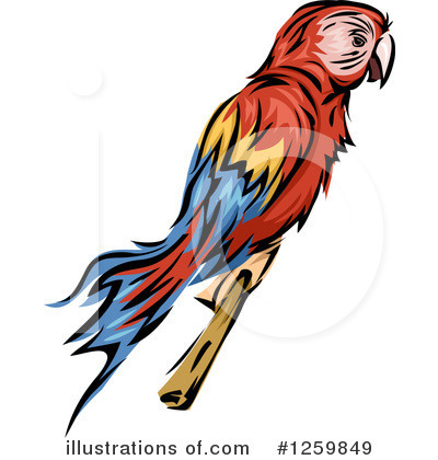 Macaw Clipart #1259849 by BNP Design Studio