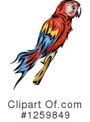 Parrot Clipart #1259849 by BNP Design Studio
