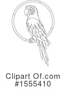 Parrot Clipart #1555410 by Alex Bannykh