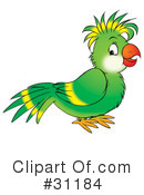 Parrot Clipart #31184 by Alex Bannykh