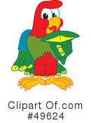 Parrot Mascot Clipart #49624 by Mascot Junction
