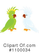 Parrots Clipart #1100034 by Alex Bannykh
