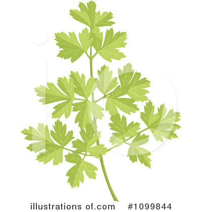 Royalty-Free (RF) Parsley Clipart Illustration by Any Vector - Stock Sample #1099844