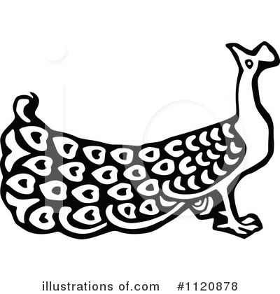 Royalty-Free (RF) Peacock Clipart Illustration by Prawny Vintage - Stock Sample #1120878