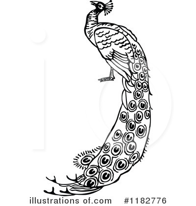 Royalty-Free (RF) Peacock Clipart Illustration by Prawny - Stock Sample #1182776