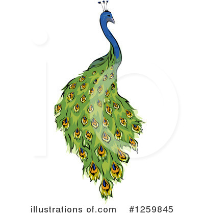 Royalty-Free (RF) Peacock Clipart Illustration by BNP Design Studio - Stock Sample #1259845