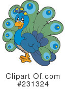 Peacock Clipart #231324 by visekart