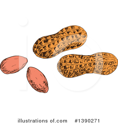Peanut Clipart #1390271 by Vector Tradition SM